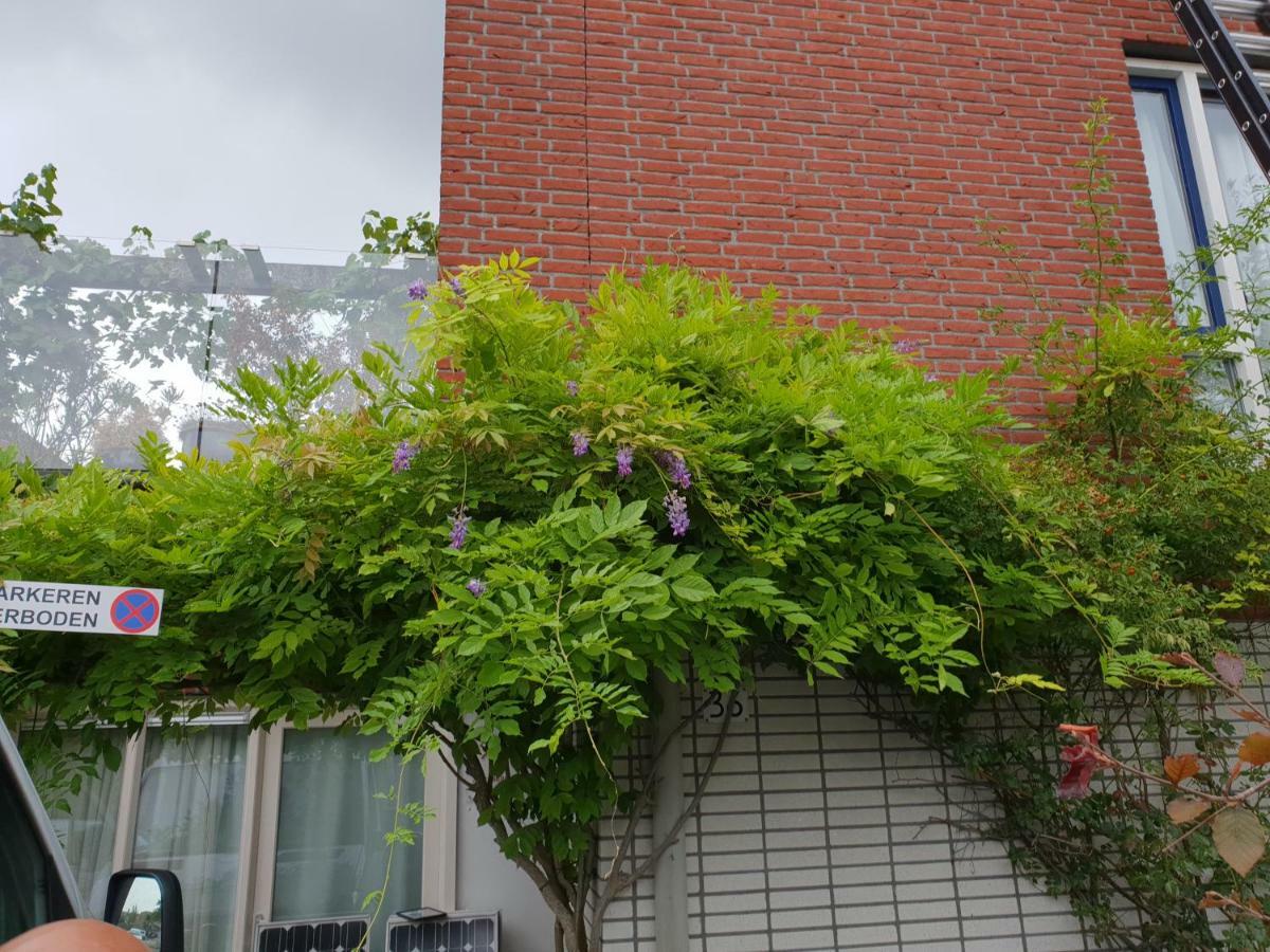 Johan'S B&B, Dakterras & Goedkoop Parkeren - Sinds 2014 Amsterdam Exterior photo